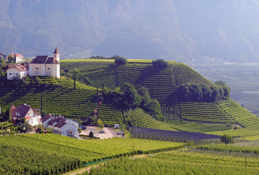 Cantina Produttori San Paolo - KÖSSLER